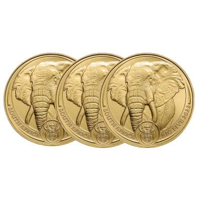 Moneda de Oro 50 Rand-Sudáfrica-1 oz.-Big Five Elephant-2022-Segunda Mano