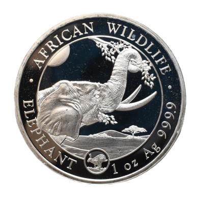 Moneda de Plata 100Sh Chelín-Somalia-1 Oz.-Elefante-Rabbit Privy-2023