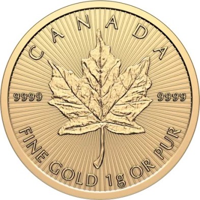 Moneda de Oro MapleGram-Canadá- 25x1 gramo-Maple Leaf-2026